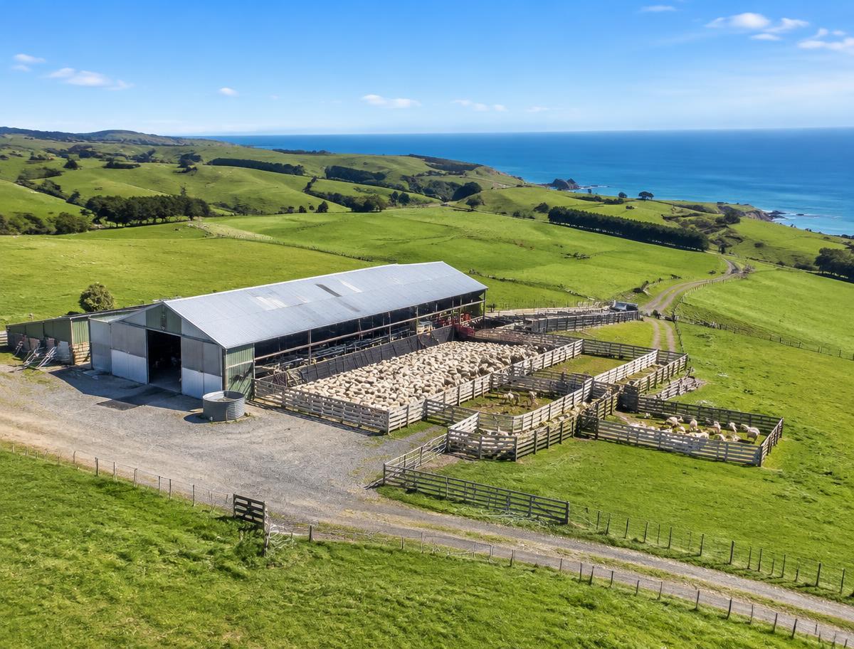 Woolshed and sheep yards with coastal views
