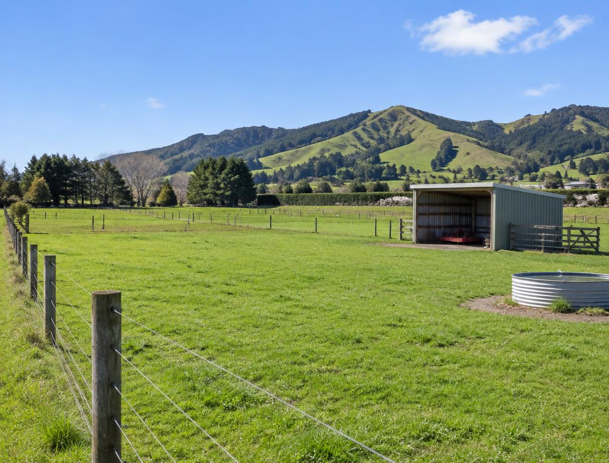Fenced paddocks with implement shed and trough